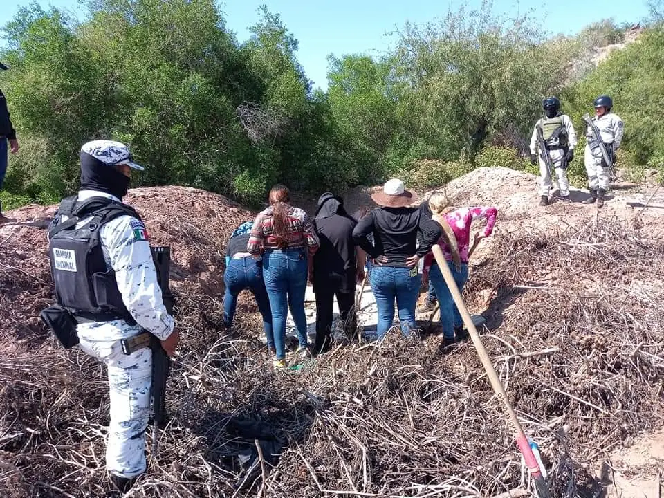 Investigan hallazgo de restos óseos en Pitiquito