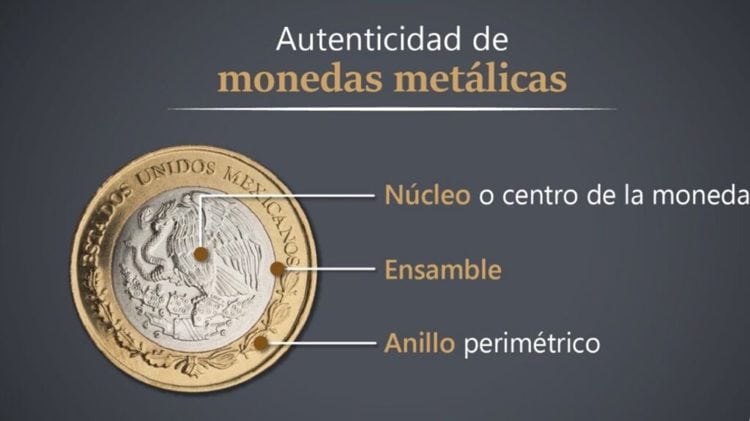 imagen-cuerpo imagen-cuerpo
