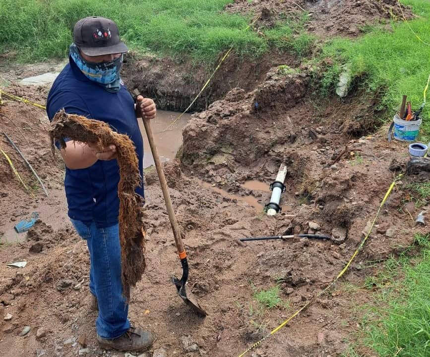 Detecta Oomapasn taponamientos en líneas de conducción recurrentemente