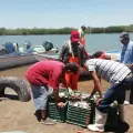 Regular captura de jaiba en el sur de Sonora