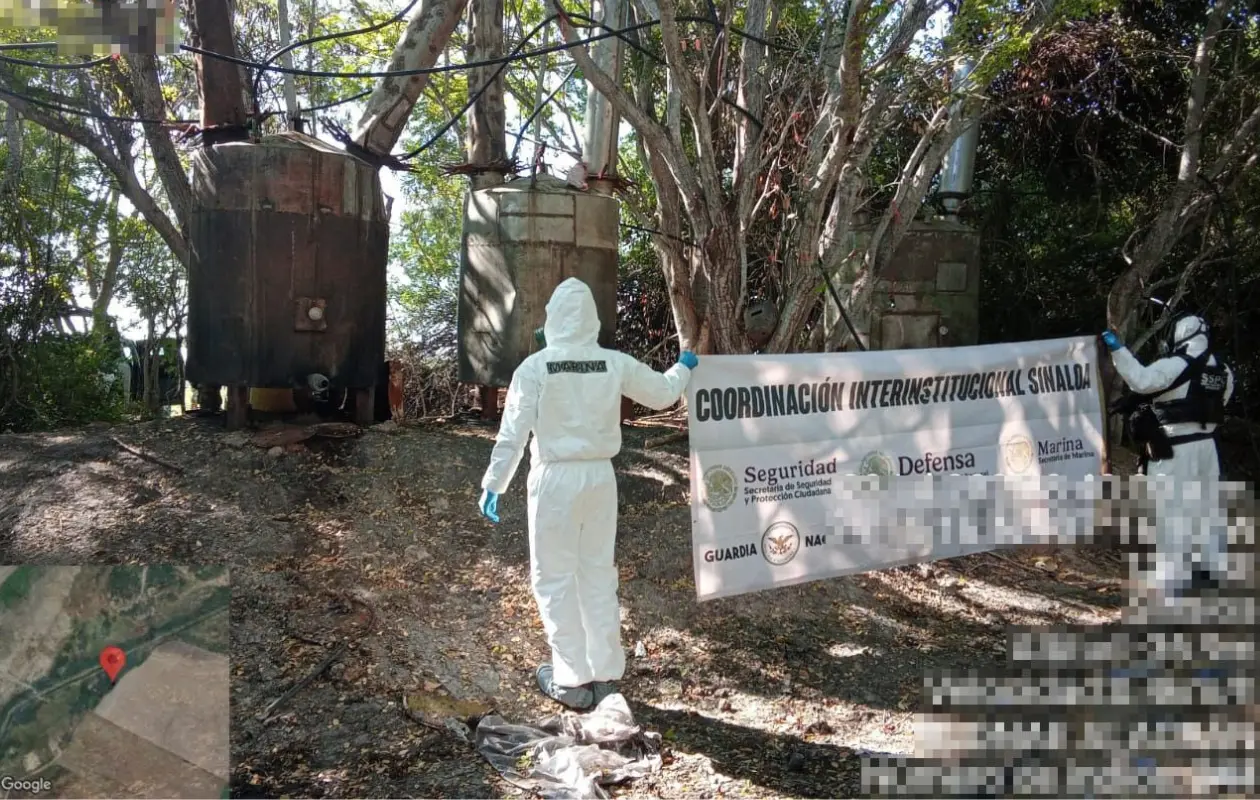 Lo decomisado representará pérdidas millonarias al crimen organizado.