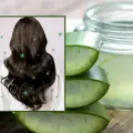 ¿Quieres recuperar el brillo en el cabello? Checa esta mascarilla que te cambiará la vida