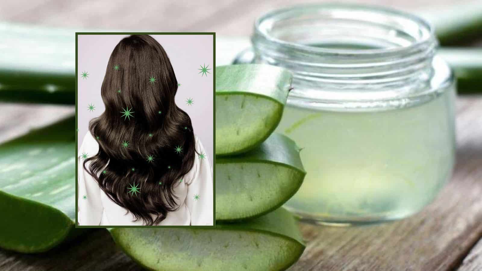 ¿Quieres recuperar el brillo en el cabello? Checa esta mascarilla que te cambiará la vida