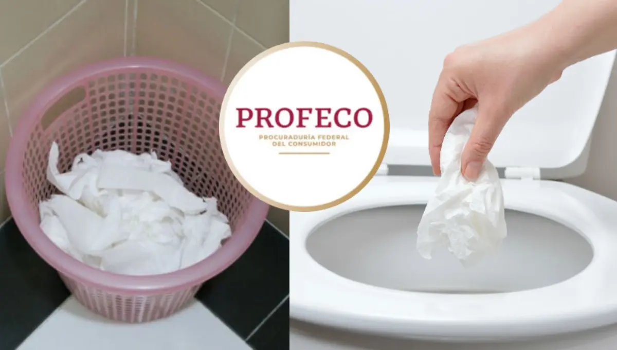 Profeco explica si el papel de baño va en la taza o en el bote. Foto: Original