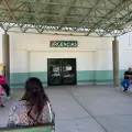 La Rickettsia cobra una vida más, ahora en Etchojoa