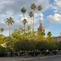 Regresará el Festival Álamos Pueblo Mágico este 2025