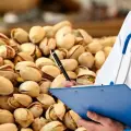 ¿Cuándos pistachos debes comer al día para aprovechar sus propiedades nutricionales?