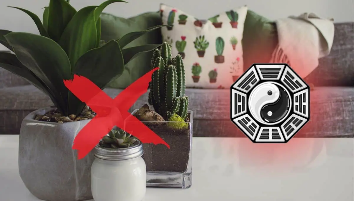 Descubre qué ejemplares debes evitar en tu casa / Pexels