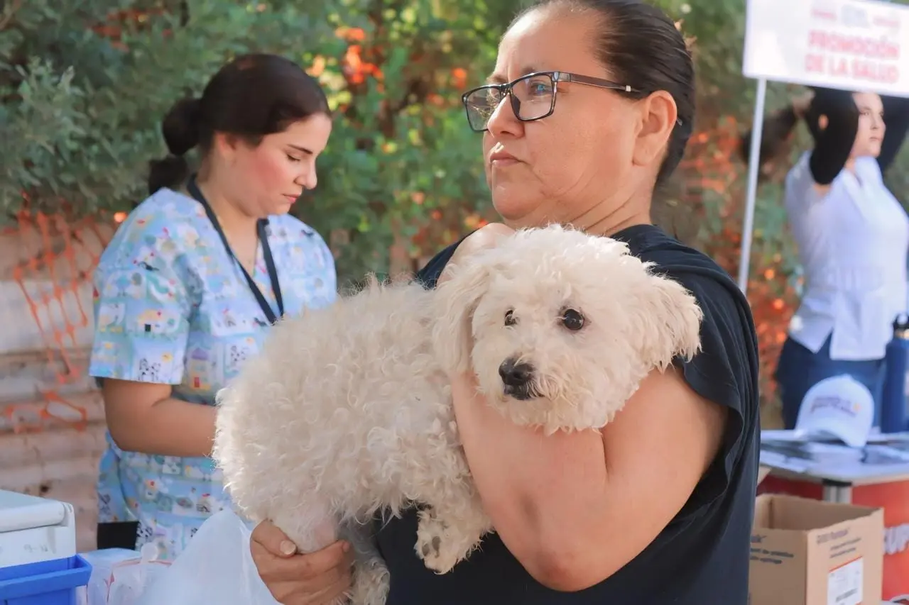 Llevarán brigada de esterilización de canes y gatos a Marte R. Gómez y Tobarito