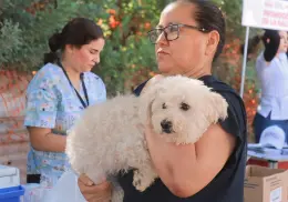 Llevarán brigada de esterilización de canes y gatos a Marte R. Gómez y Tobarito