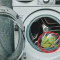 ¿Por qué debes colocar hojas de laurel en la lavadora? Esto se sabe