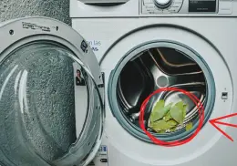 ¿Por qué debes colocar hojas de laurel en la lavadora? Esto se sabe