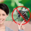 Crea un remedio casero con solo 3 ingredientes para ahuyentar mosquitos y otros insectos
