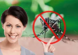 Crea un remedio casero con solo 3 ingredientes para ahuyentar mosquitos y otros insectos