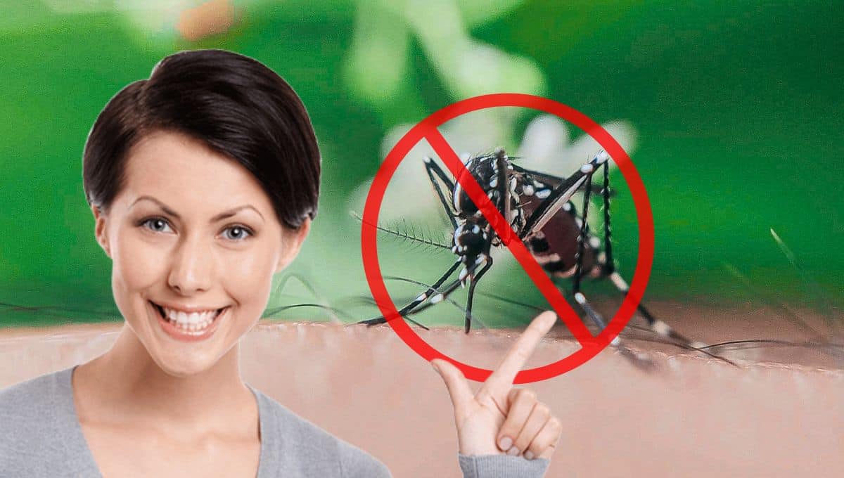 Crea un remedio casero con solo 3 ingredientes para ahuyentar mosquitos y otros insectos