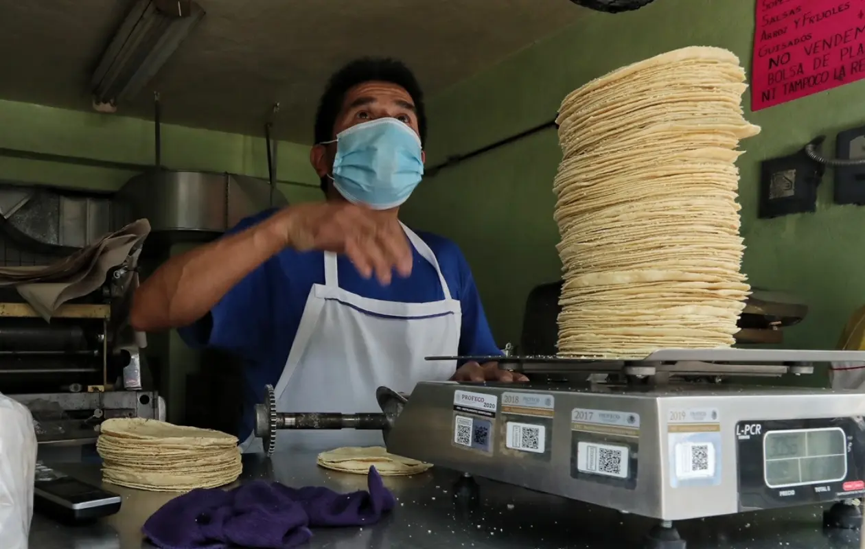 Recibirán un distintivo oficial que las identificará como “tortillería adherida”.