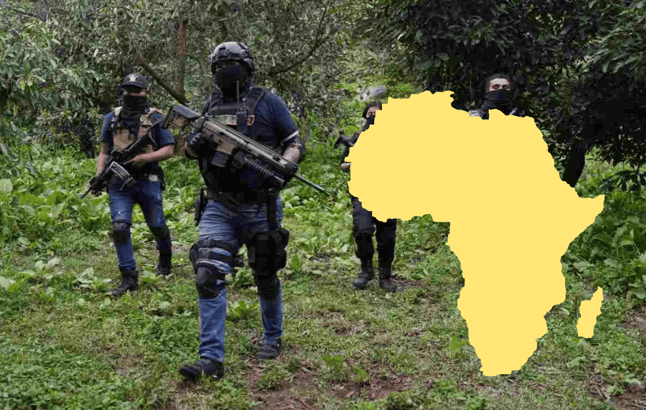 Pentágono alerta sobre expansión de Cárteles Mexicanos en África