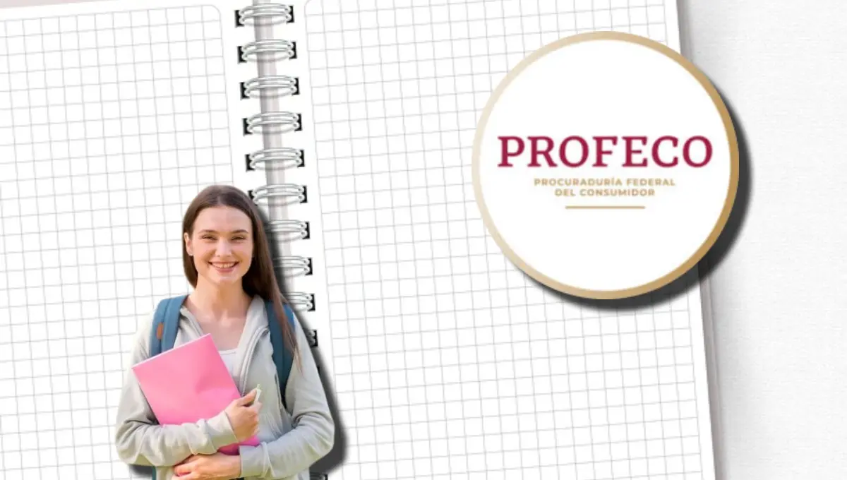 Profeco comparte los cuadernos mejor calificados para el regreso a clases. Foto: Original