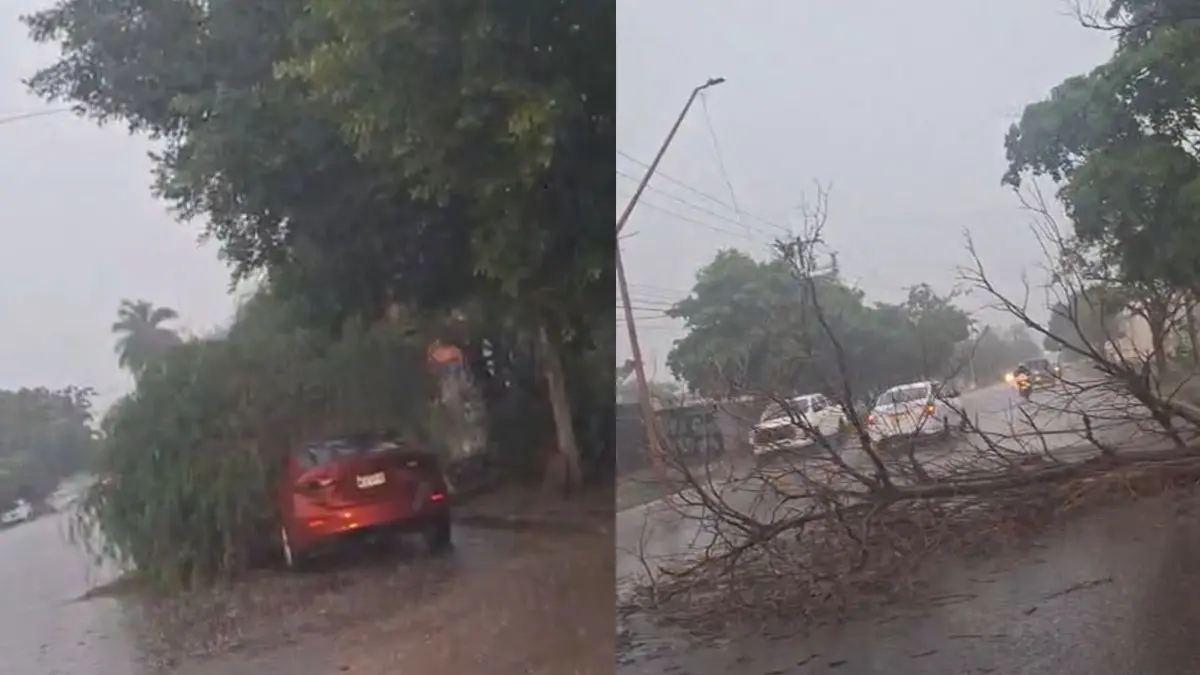 Vuelve a llover en Cajeme; reportan árboles caídos y cierran paso a desnivel