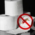 Conoce el truco del papel higiénico para ahuyentar los mosquitos