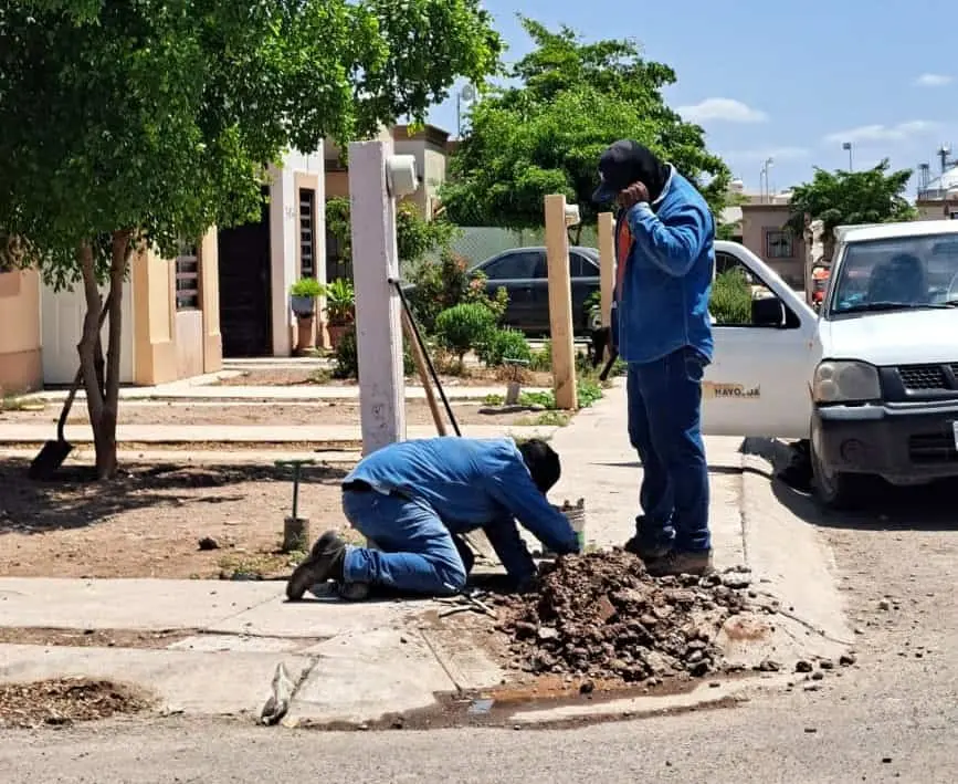 Buscan ahorrar agua