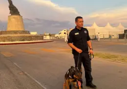 Binomios caninos han asegurado más de 200 dosis de narcóticos en Sonora