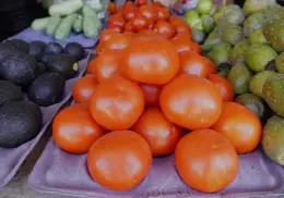 Registran considerable aumento las verduras
