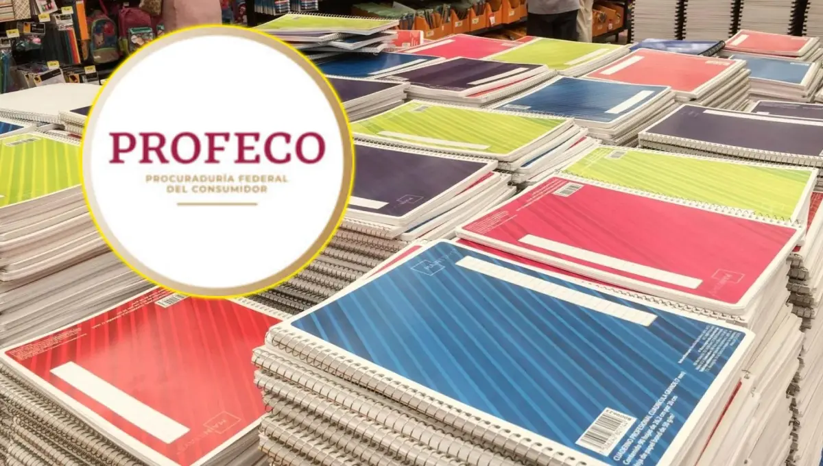 Estos son los cuadernos mejor calificados por la Profeco para el regreso a clases. Foto: Original