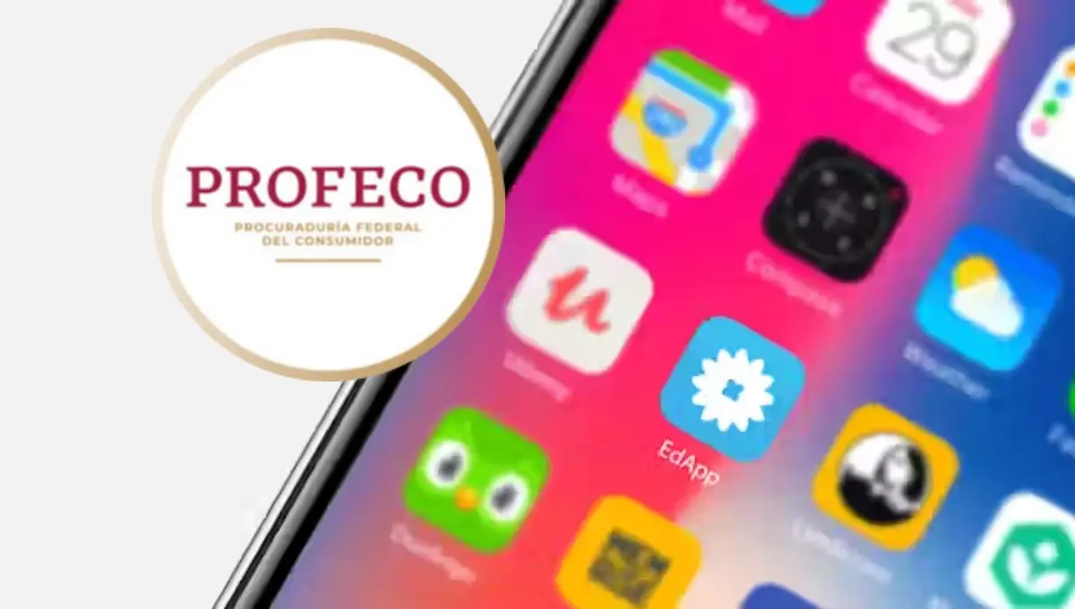 Profeco revela 5 apps perfectas para el regreso a clases. Foto: Original