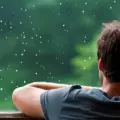 ¿Te gusta ver llover? Esta es la razón detrás de esto, según los expertos