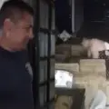 VIDEO | Detienen a alcalde Diego Cadillo por golpiza a su pareja en Perú
