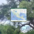 Clima en Sonora hoy, 8 de agosto: Se esperan lluvias; conoce el pronóstico para Ciudad Obregón, Hermosillo y otras ciudades