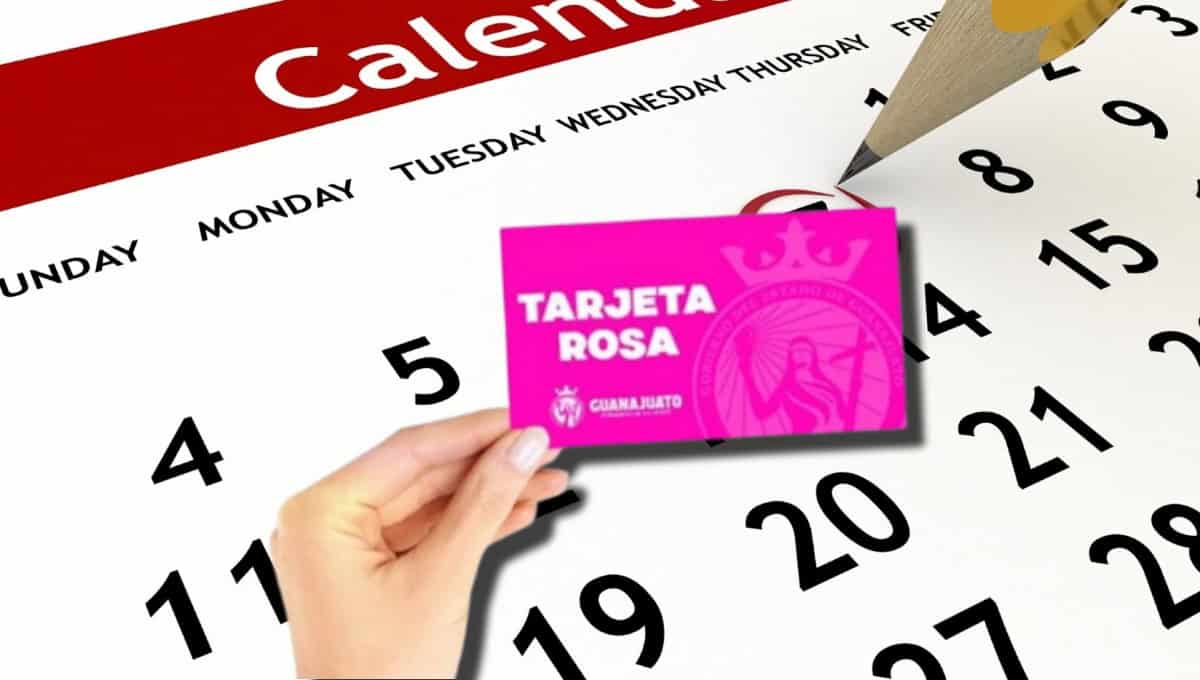 Tarjeta Rosa: fechas de agosto en las que se hará el depósito