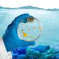 Bacterias marinas: aliadas para limpiar el mar y playas contaminadas con petróleo y plásticos