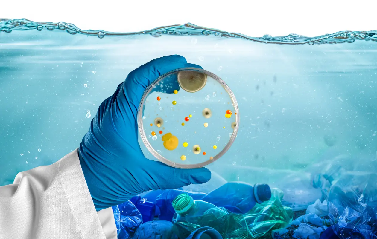 Muchos microorganismos como bacterias son benéficas y esenciales para el equilibrio ambiental.