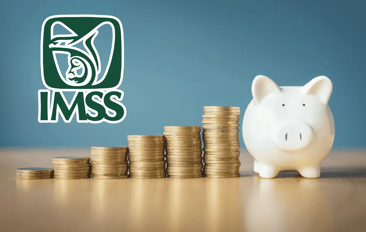 Conoce los requisitos para acceder a la Modalidad 40 del IMSS.