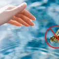 4 trucos caseros para mantener alejadas a las avispas de la piscina