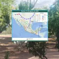 Clima en Sonora hoy, 12 de agosto: Pronostican tormentas y altas temperaturas