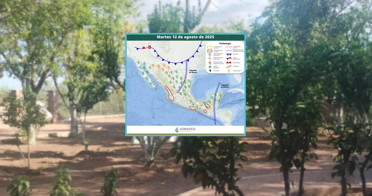 Clima en Sonora hoy, 12 de agosto: Pronostican tormentas y altas temperaturas