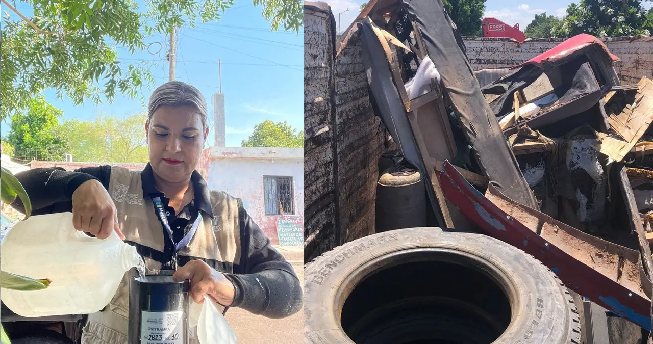 La fumigación no es la solución para evitar el dengue: Salud Municipal