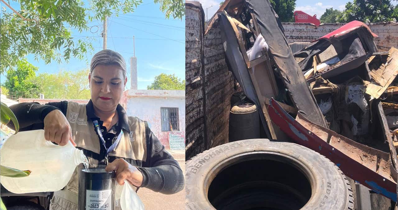 La fumigación no es la solución para evitar el dengue: Salud Municipal