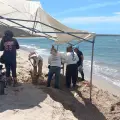 Hallan restos humanos en playa de Guaymas