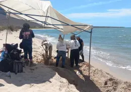 Hallan restos humanos en playa de Guaymas