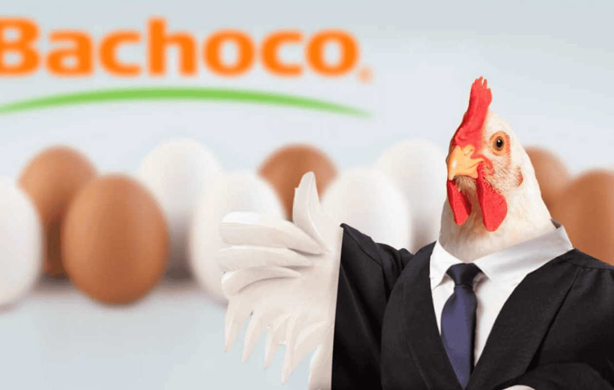 Bachoco se deslinda de meme sobre hijo de AMLO que se viralizó en redes