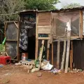 Baja pobreza en Sonora