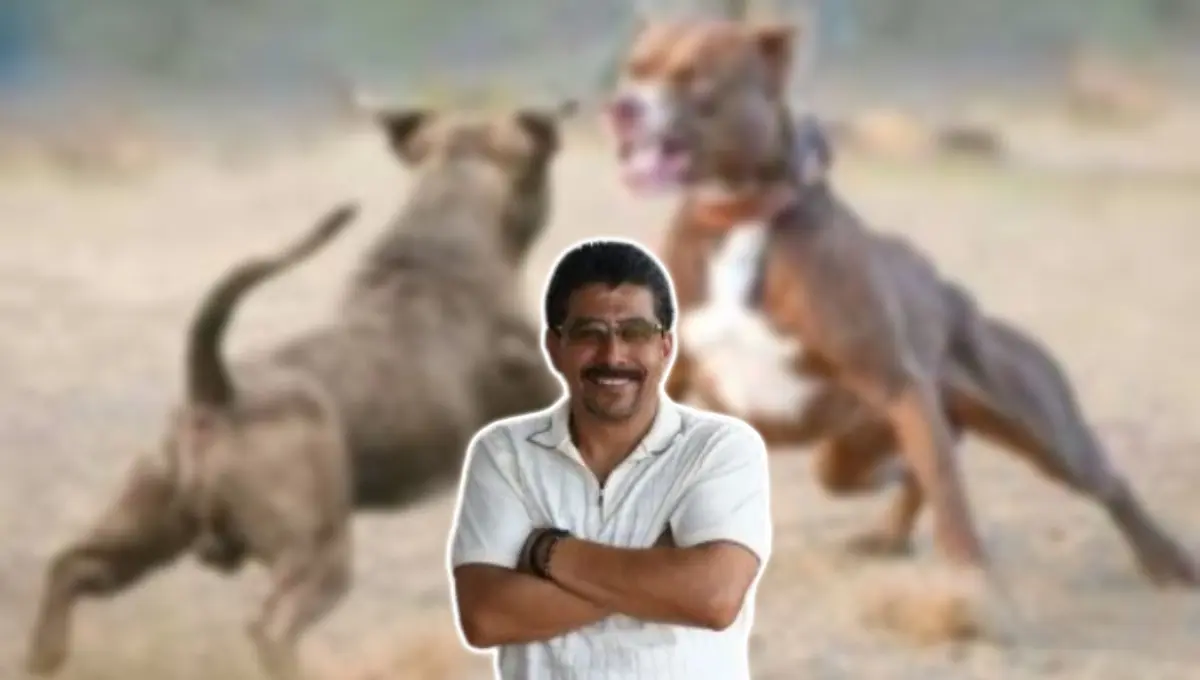 Influencer de Nogales es amenazado por denunciar peleas de perros. Foto: Original