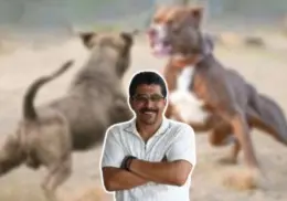Influencer de Nogales es amenazado por denunciar peleas de perros en CDMX