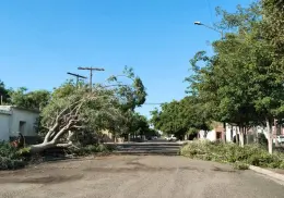 Pide Protección Civil de Huatabampo extremar precauciones ante lluvias