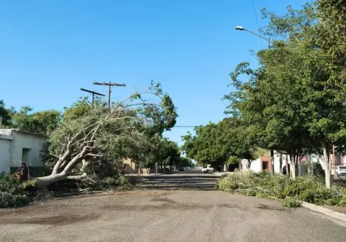 Pide Protección Civil de Huatabampo extremar precauciones ante lluvias