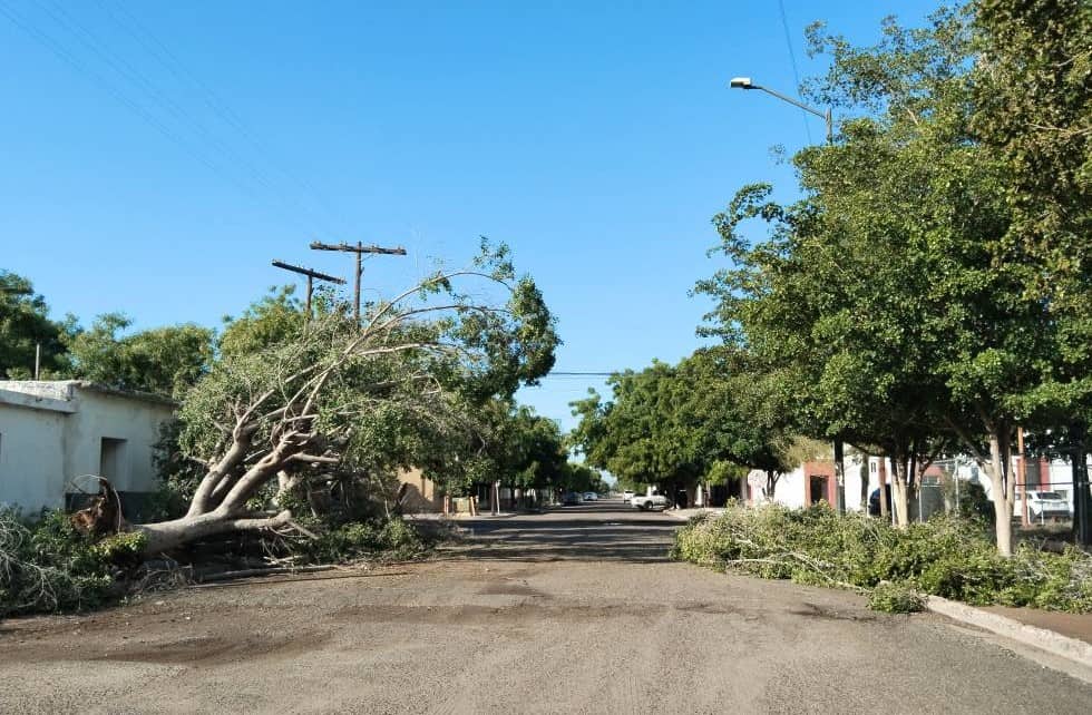 Pide Protección Civil de Huatabampo extremar precauciones ante lluvias
